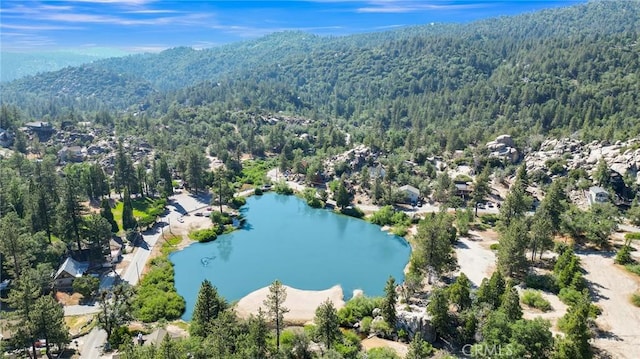 2226 Evans Dr, Arrowbear, CA 92382 - bird's eye view of a heavily wooded area and a water and mountain view