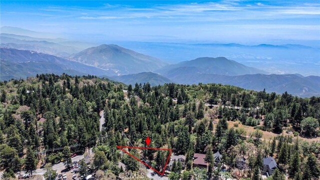 0 Meadowbrook Rd, Lake Arrowhead, CA 92352