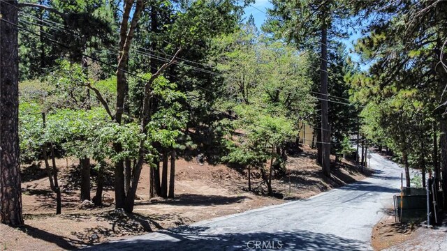 0 Meadowbrook Rd, Lake Arrowhead, CA 92352