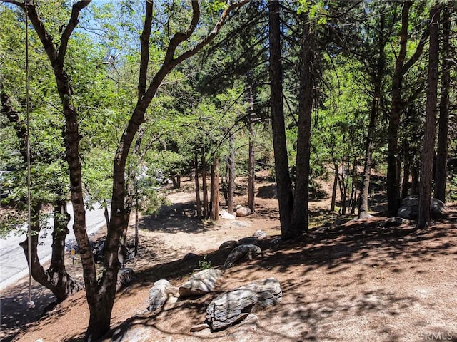 0 Meadowbrook Rd, Lake Arrowhead, CA 92352