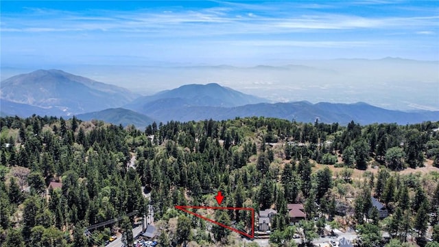 0 Meadowbrook Rd, Lake Arrowhead, CA 92352