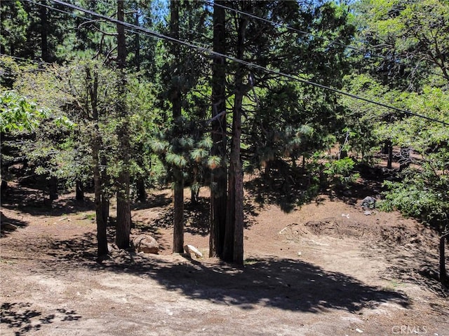 0 Meadowbrook Rd, Lake Arrowhead, CA 92352