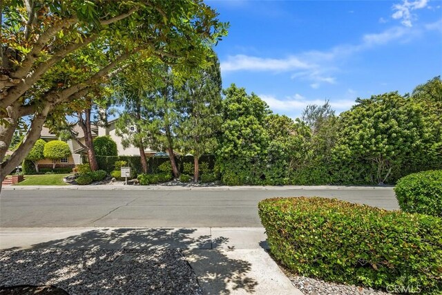 27815 Sheffield, Mission Viejo, CA 92692 - view of concrete road