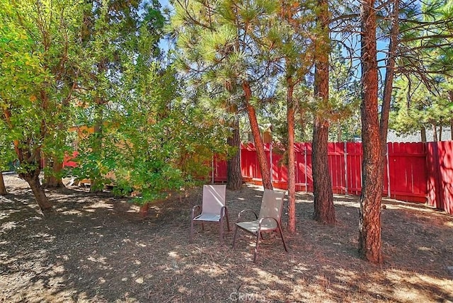 401 E Angeles Blvd, Big Bear City, CA 92314 - photo 23
