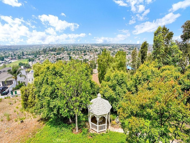 12272 Media Panorama, North Tustin, CA 92705 - drone / aerial view