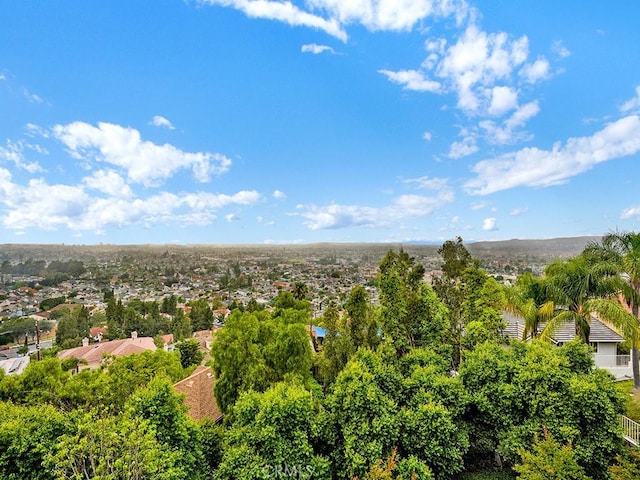 12272 Media Panorama, North Tustin, CA 92705 - drone / aerial view