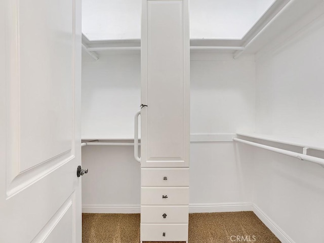 12272 Media Panorama, North Tustin, CA 92705 - walk in closet featuring carpet flooring