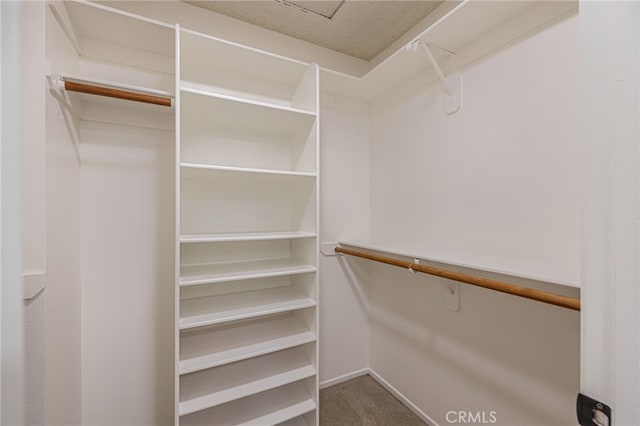44118 Ruthron Ave, Lancaster, CA 93536 - spacious closet featuring carpet