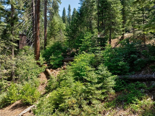 7419 Henness Ridge Rd, Yosemite, CA 95389