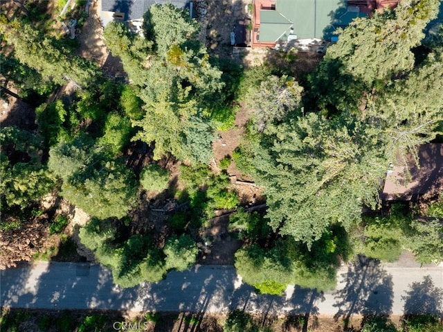 7419 Henness Ridge Rd, Yosemite, CA 95389