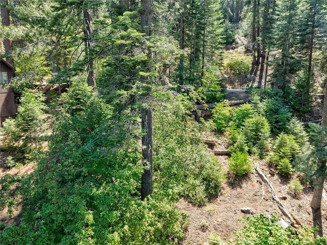 7419 Henness Ridge Rd, Yosemite, CA 95389
