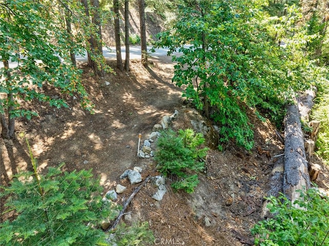7419 Henness Ridge Rd, Yosemite, CA 95389