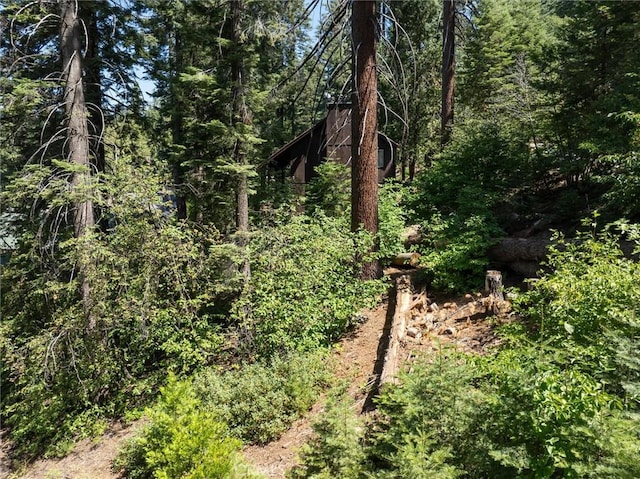 7419 Henness Ridge Rd, Yosemite, CA 95389