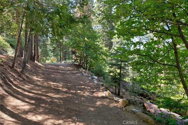 7419 Henness Ridge Rd, Yosemite, CA 95389