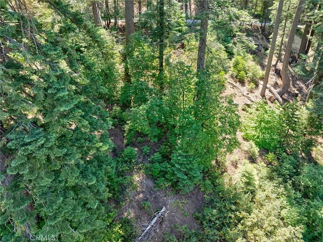 7419 Henness Ridge Rd, Yosemite, CA 95389