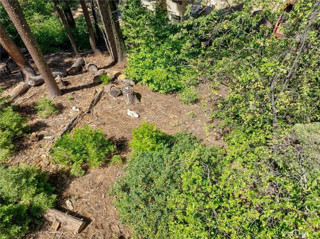 7419 Henness Ridge Rd, Yosemite, CA 95389