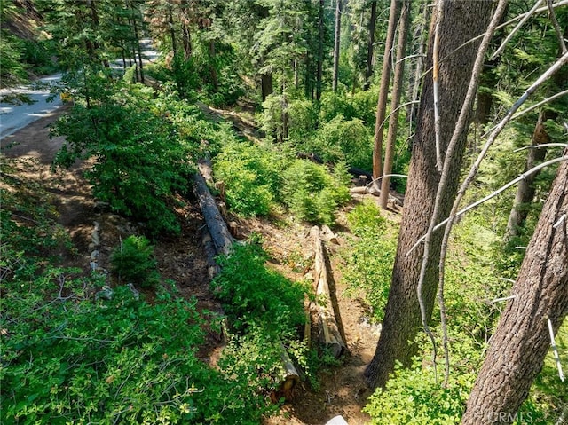 7419 Henness Ridge Rd, Yosemite, CA 95389