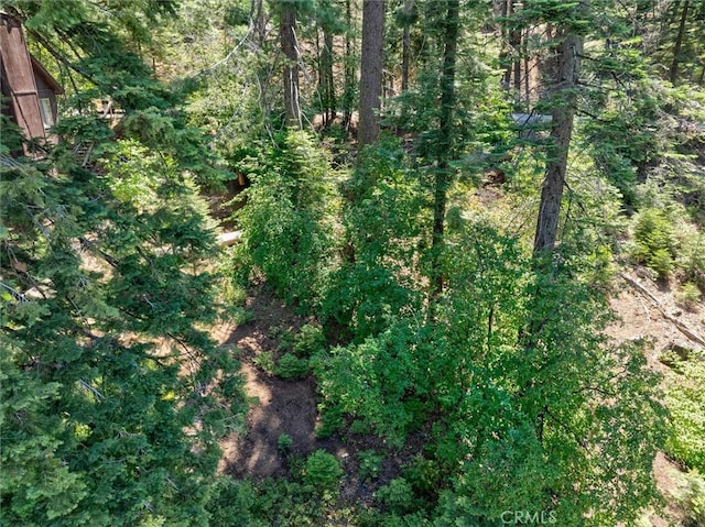 7419 Henness Ridge Rd, Yosemite, CA 95389