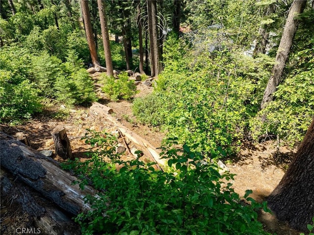 7419 Henness Ridge Rd, Yosemite, CA 95389