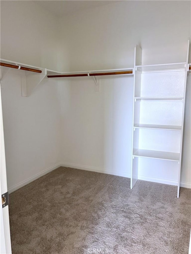 17727 Santa Lucia Ct, Riverside, CA 92503 - spacious closet with carpet floors
