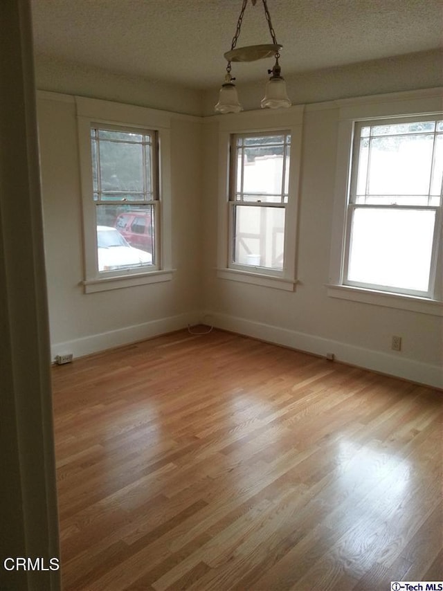 1165 N Lake Ave, Pasadena, CA 91104 - empty room featuring plenty of natural light, light wood-type flooring, and a textured ceiling