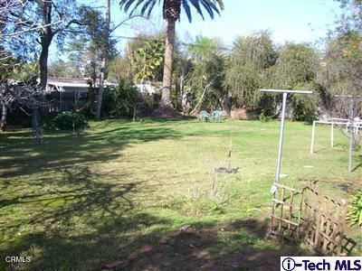 1165 N Lake Ave, Pasadena, CA 91104 - view of yard