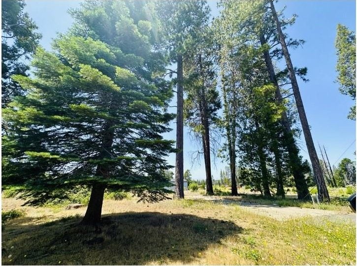6394 Calvin Dr, Magalia, CA 95954 - photo 4