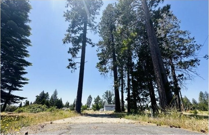 6394 Calvin Dr, Magalia, CA 95954 - photo 2