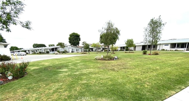 1441 Monterey Rd Unit M2-61J, Seal Beach, CA 90740 - view of grassy yard