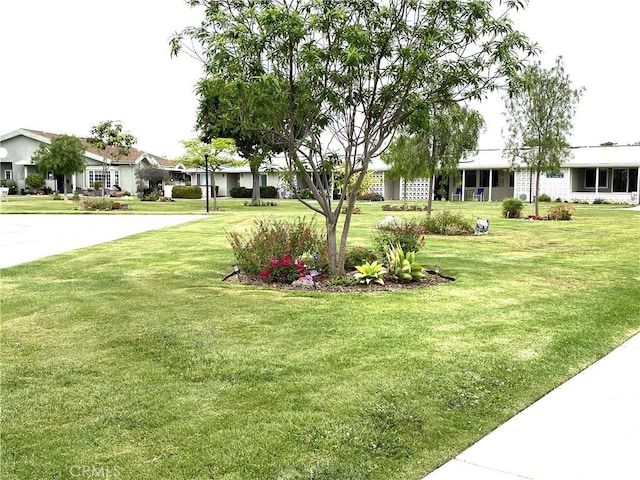 1441 Monterey Rd Unit M2-61J, Seal Beach, CA 90740 - view of grassy yard