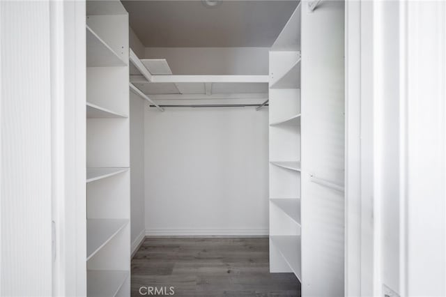 1038 N Columbus Ave, Glendale, CA 91202 - walk in closet with wood finished floors