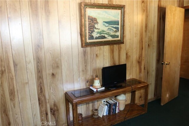 43213 Sand Canyon Rd, Big Bear Lake, CA 92315 - photo 18