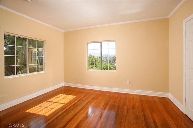 4915 El Canto Dr, Los Angeles, CA 90041 - photo 15