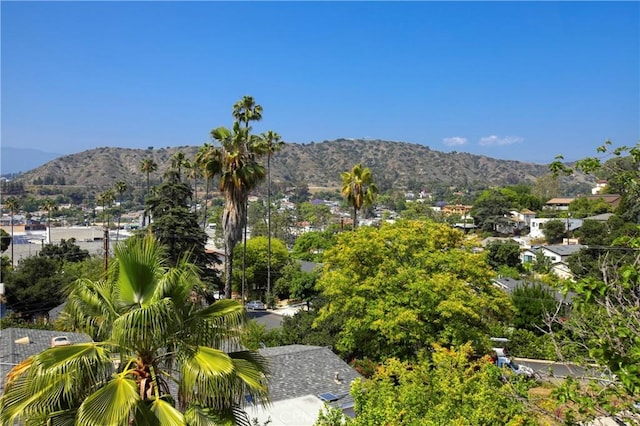 4915 El Canto Dr, Los Angeles, CA 90041 - photo 27