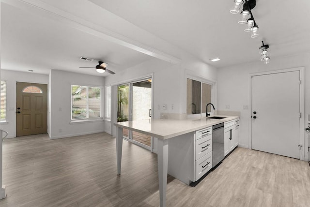 155 Countrywood Ln, Encinitas, CA 92024 - kitchen with stainless steel dishwasher, light countertops, light wood-type flooring, and ceiling fan