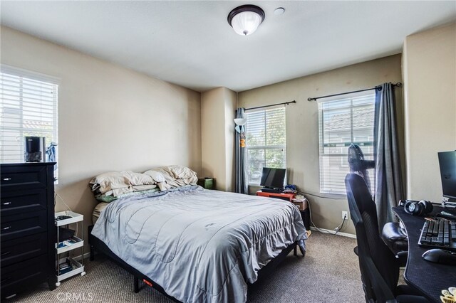 6291 Amarante Ln, Eastvale, CA 91752 - photo 23