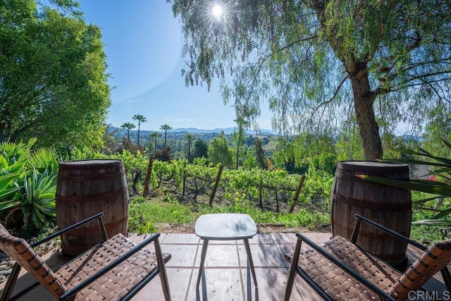 2278 Casitas Del Sol, Fallbrook, CA 92028 - view of patio / terrace with a mountain view