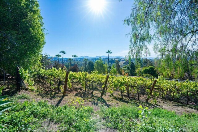 2278 Casitas Del Sol, Fallbrook, CA 92028 - view of yard with a mountain view