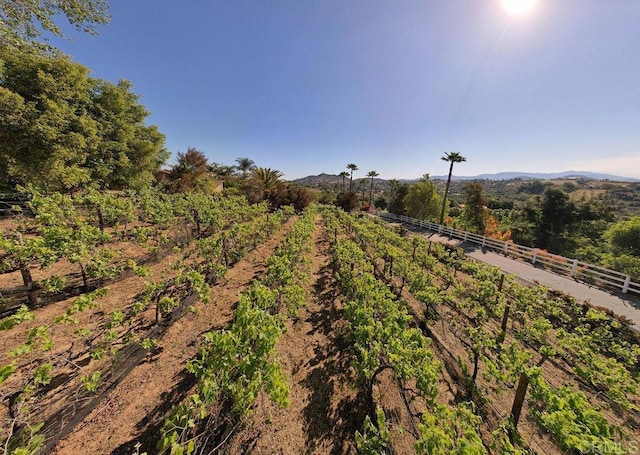 2278 Casitas Del Sol, Fallbrook, CA 92028 - view of yard featuring a view of rural / pastoral area, a vegetable garden, and a mountain view