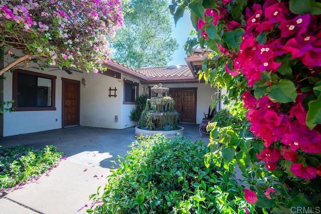 2278 Casitas Del Sol, Fallbrook, CA 92028 - property entrance featuring stucco siding and a tile roof