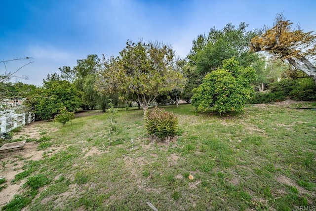 2278 Casitas Del Sol, Fallbrook, CA 92028 - view of yard