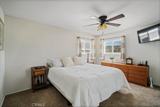 1413 Avenida De La Estrella, San Clemente, CA 92672 - bedroom with carpet floors and a ceiling fan