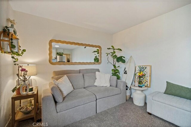 1413 Avenida De La Estrella, San Clemente, CA 92672 - view of carpeted living room
