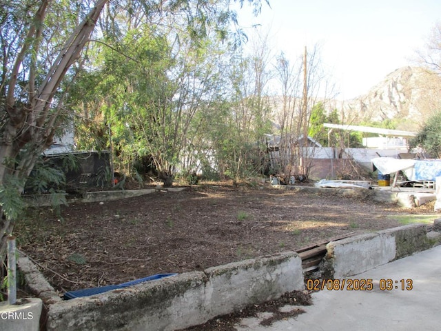 4007 Market St, Piru, CA 93040 - view of yard with a mountain view