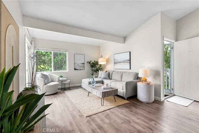 34012 Selva Rd Unit 13, Dana Point, CA 92629 - photo 8