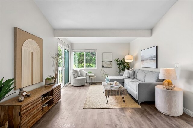 34012 Selva Rd Unit 13, Dana Point, CA 92629 - photo 7