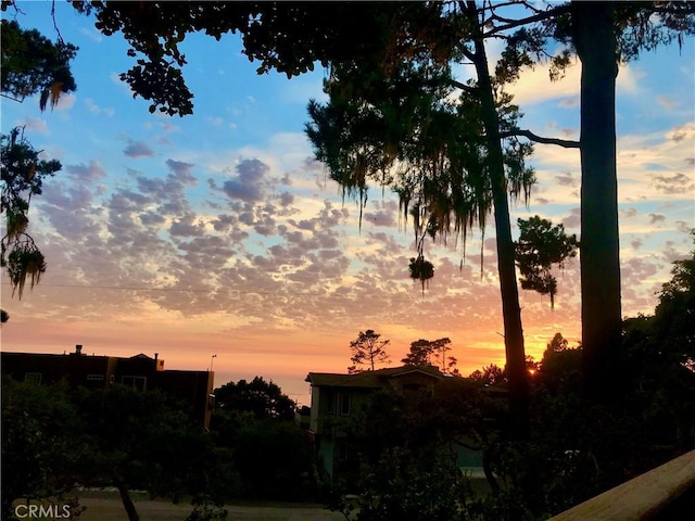 2103 Benson Ave, Cambria, CA 93428 - view of nature