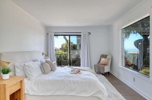 2103 Benson Ave, Cambria, CA 93428 - bedroom featuring crown molding and dark wood-style floors