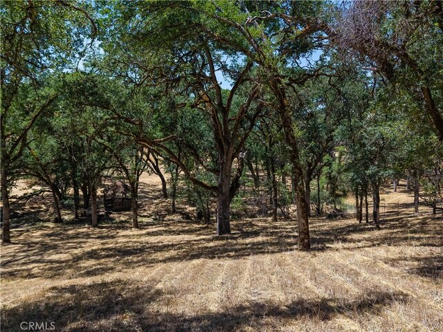 2209 Diane Way, Lakeport, CA 95453 - photo 48