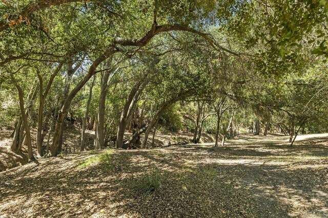 30556 Rock Stone Rd, Valley Center, CA 92082 - photo 41